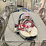 baby, incubator, hospital, medical_equipment, premature, neonatal, newborn, diaper, hat, tubes, monitoring, bed, healthcare, intensive_care, patient, infant, medical_care, wired, tiny, fragile