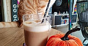 O'Malley participe au concours pour gagner de l'argent avec cette photo : cat, orange_tabby, table, glass, iced_coffee, straw, pumpkins, plush_pumpkins, indoor, decorations, wall_art, skeleton_decoration, colorful, living_room, furniture, wood, cup, drink, pet, cozy