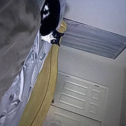 Ms Kitty is registered to the contest to win money with this photo: audio_equipment, cable, ceiling, comfort, curtain, electrical_supply, electrical_wiring, flooring, hardwood, human_leg, light_fixture, linens, personal_protective_equipment, plaster, room, thigh, tints_and_shades, wing, wood