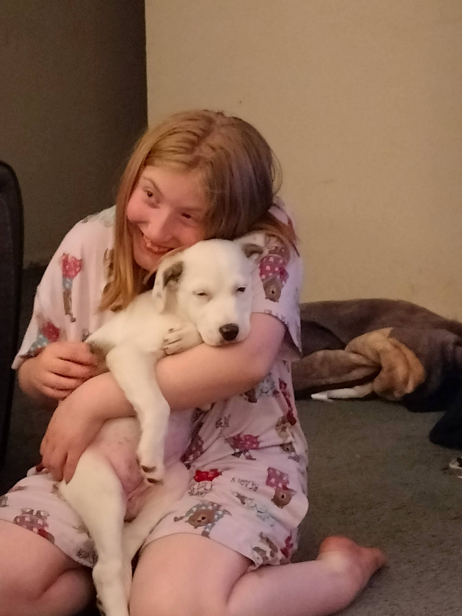 Anna is registered to the contest to win money with this photo: abdomen, blond, carnivore, comfort, companion_dog, couch, dog, dog_breed, fawn, foot, fun, fur, happy, human_leg, joy, knee, lap, person, smile, thigh