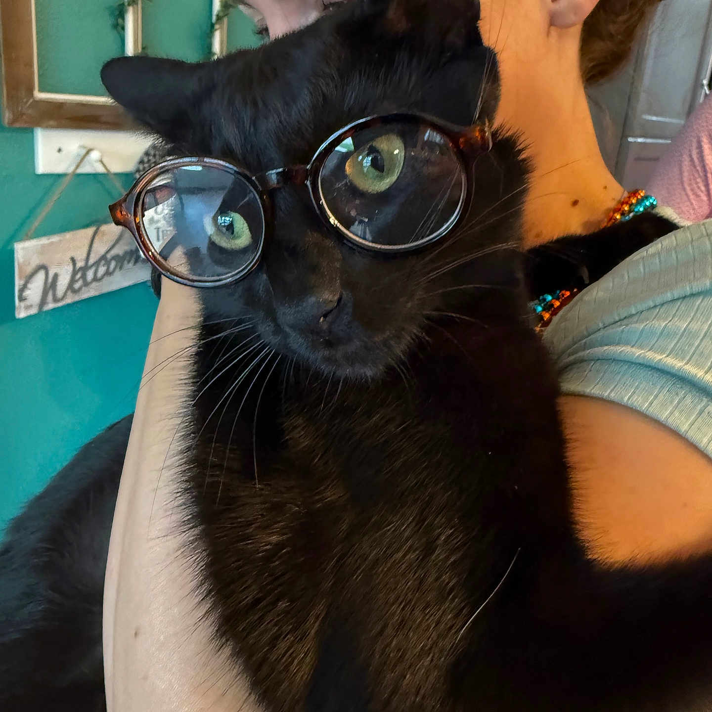 Pooky Rayray is registered to the contest to win money with this photo: black_cat, cat, close_up, cozy, cute, face, feline, fur, glasses, green_eyes, holding, hug, human_arm, indoor, person, pet, portrait, wall, welcome_sign, whiskers
