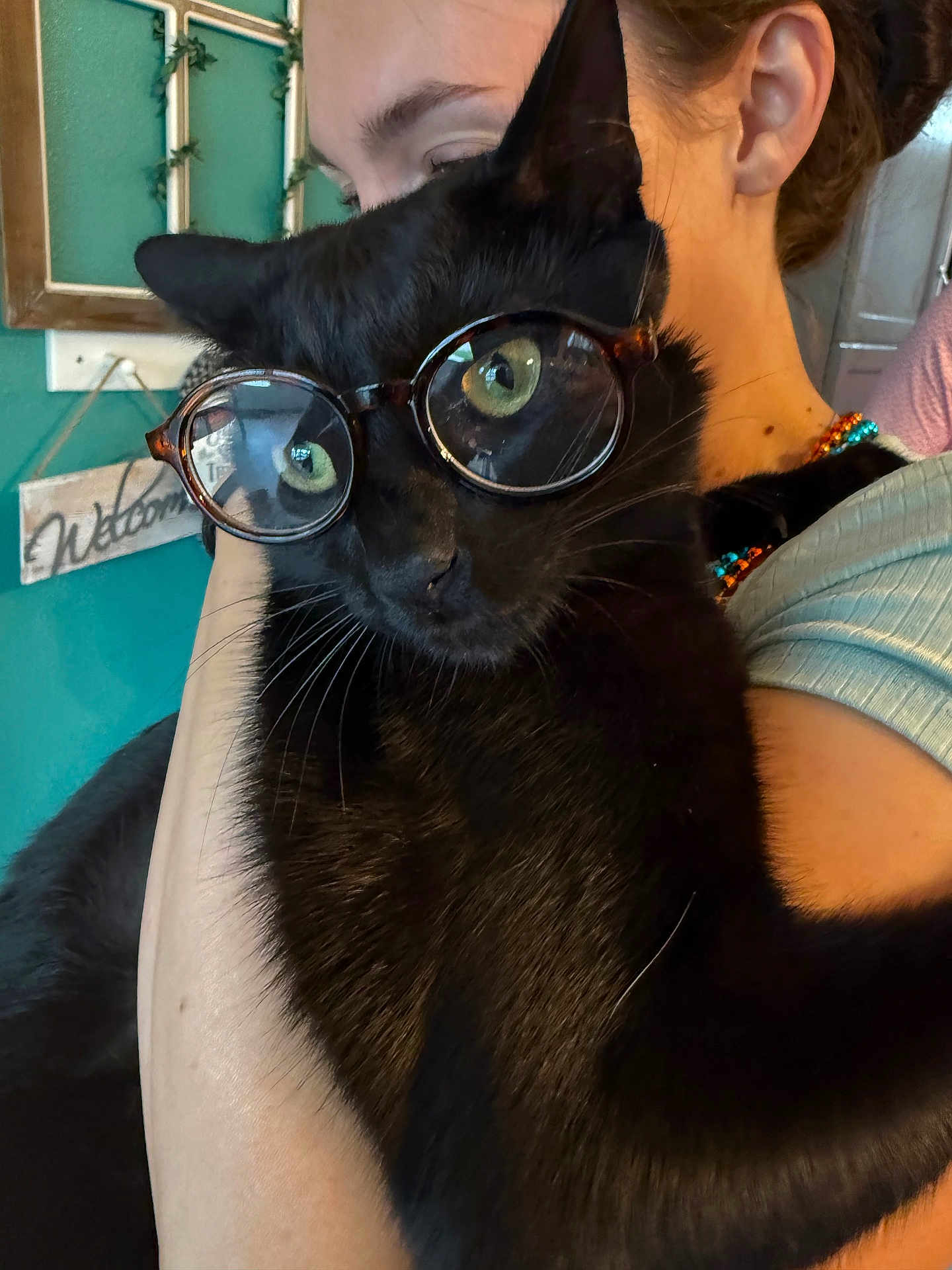 Pooky Rayray is registered to the contest to win money with this photo: cat, black_cat, glasses, person, face, green_eyes, indoor, hug, holding, close_up, portrait, feline, pet, cozy, cute, whiskers, fur, human_arm, welcome_sign, wall