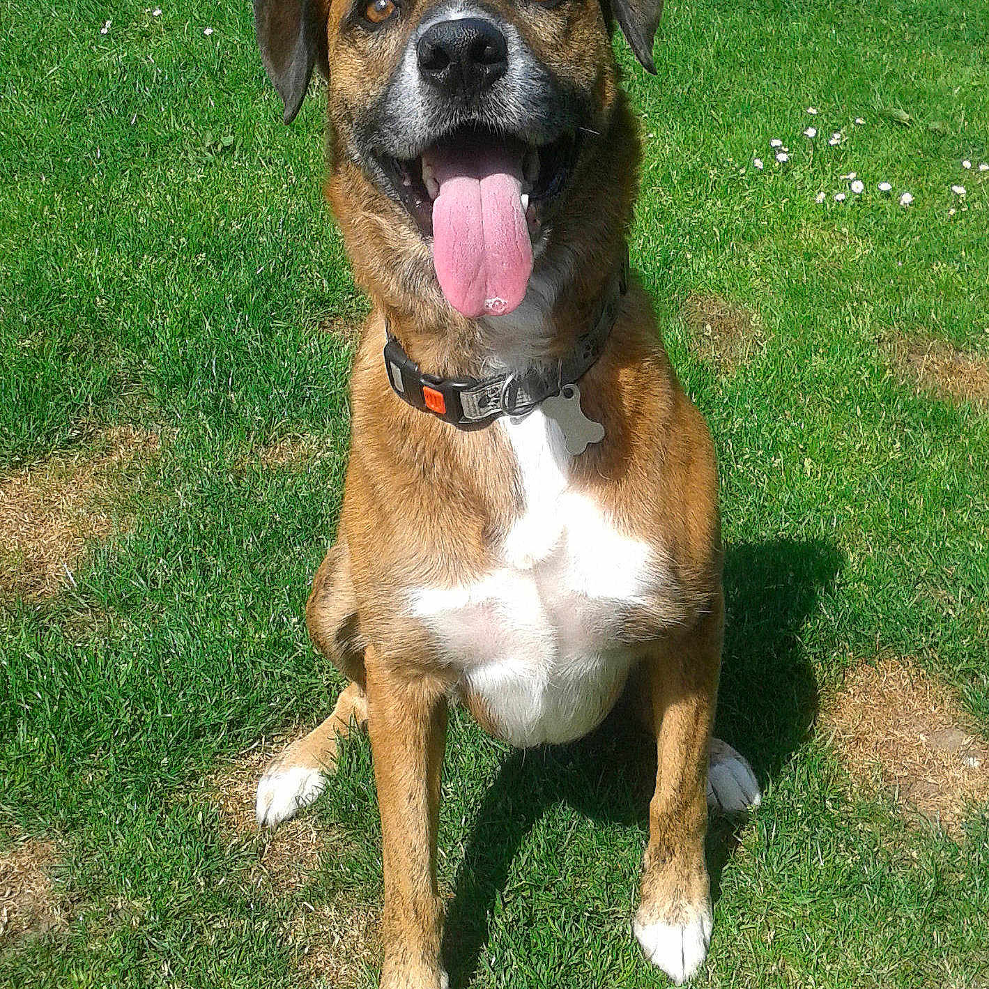 Bryn
