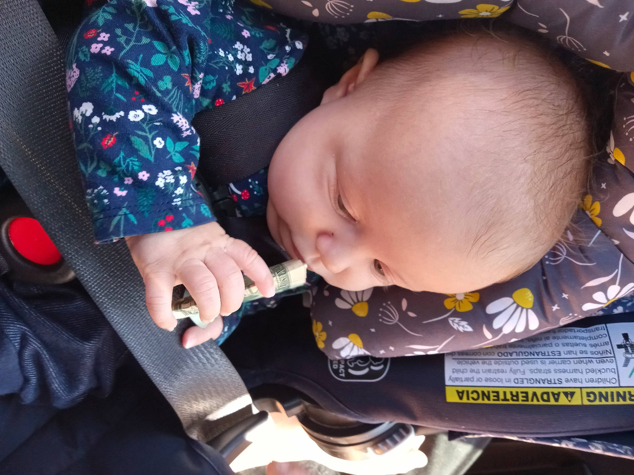 Mckenzie is registered to the contest to win money with this photo: baby, baby_carriage, baby_in_car_seat, baby_products, baby_sleeping, baby_toddler_clothing, car_seat, carmine, cheek, child, comfort, mouth, nail, pattern, person, personal_protective_equipment, product, sitting, sleep, sleeve