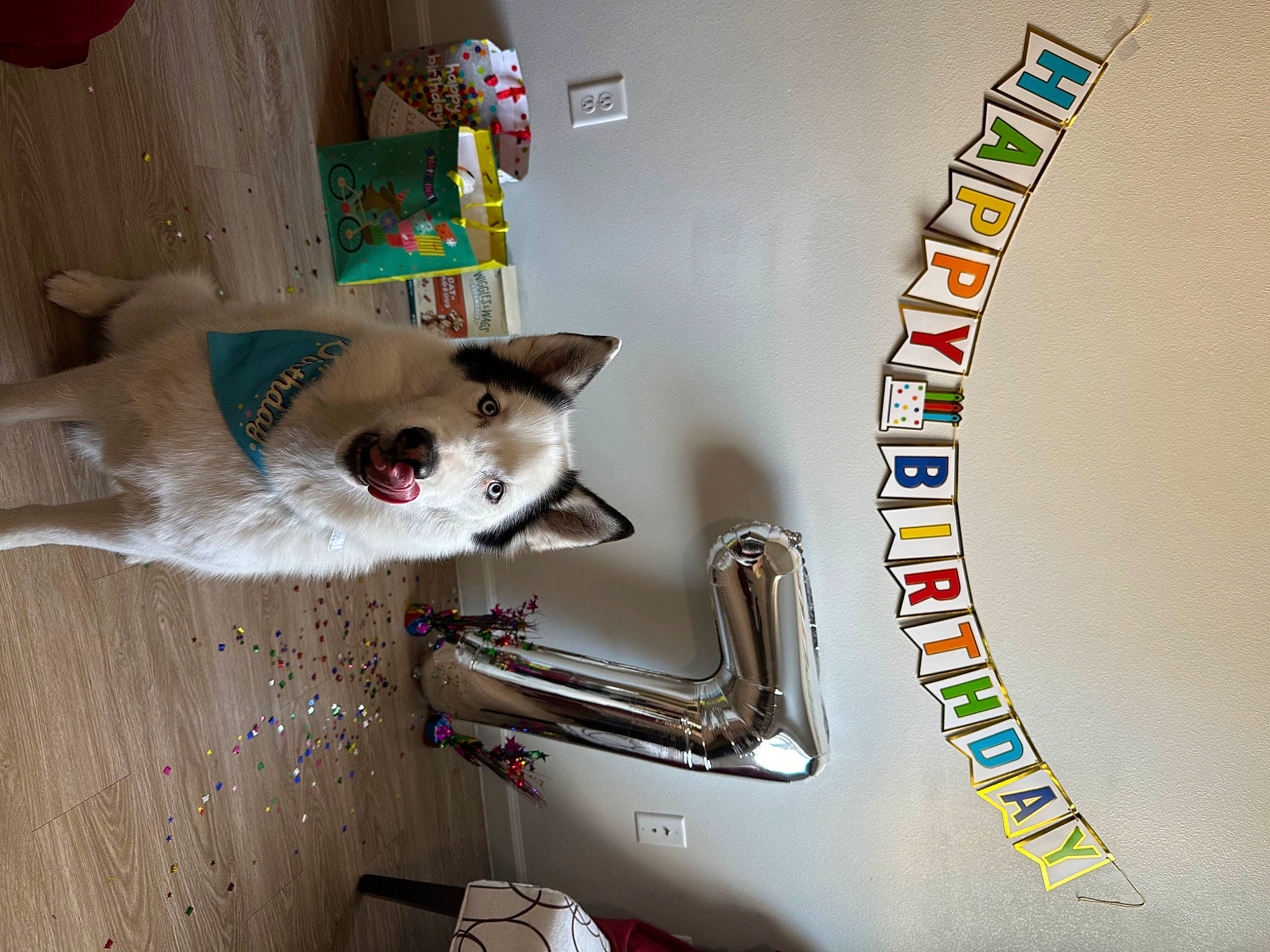 Duke joined the competition — help win amazing prizes! bicycle_handlebar, bicycle_part, canidae, carbon, carnivore, collar, companion_dog, dog, dog_breed, dog_supply, fashion_accessory, fawn, font, metal, motor_vehicle, pet_supply, rim, room, tail, working_animal