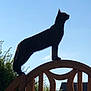 animal, balance, black_cat, blue_sky, cat, fence, gate, nature, outdoor, pet, plant, profile, quiet, roof, shadow, silhouette, sky, sunlight, tree, wood