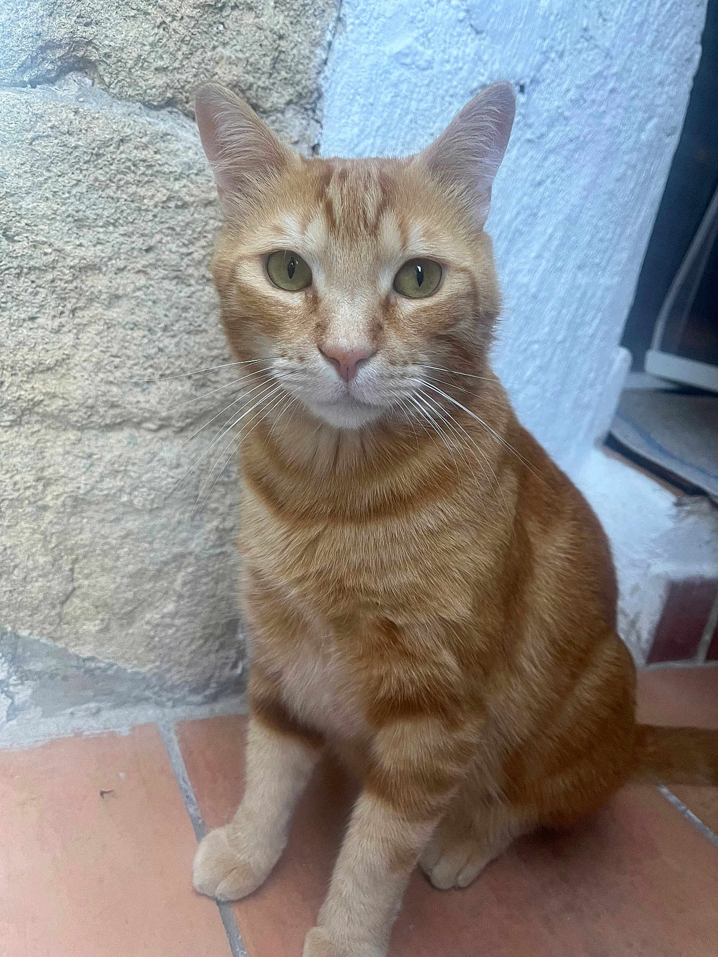 Loki