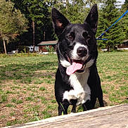 Harley is registered to the contest to win money with this photo:
