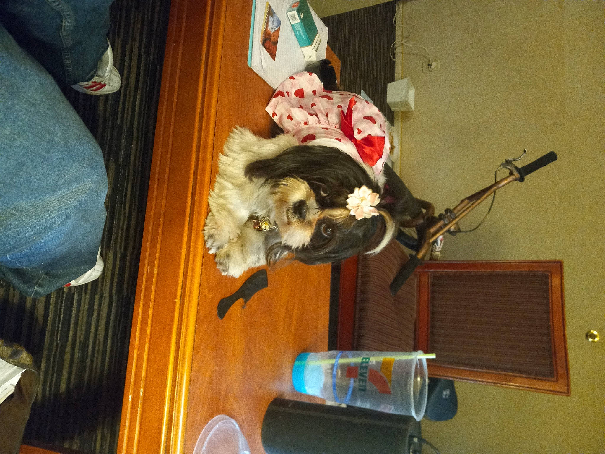 Berkley joined the competition — help win amazing prizes! art, canidae, carnivore, companion_dog, denim, dog, dog_breed, fawn, felidae, fun, fur, houseplant, non_sporting_group, room, small_to_medium_sized_cats, sporting_group, tail, toy, tree, wood