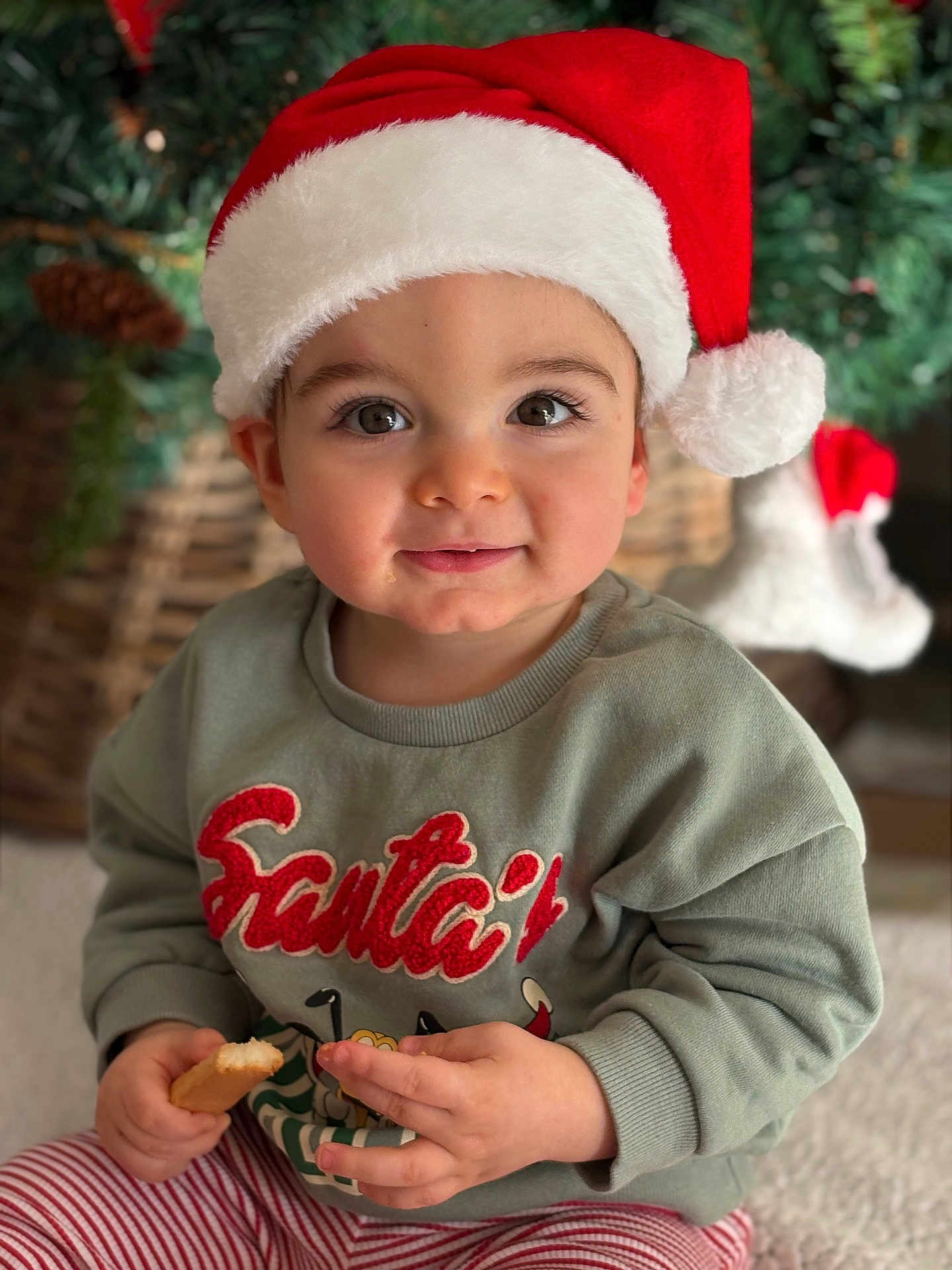 Sacha participe au concours pour gagner de l'argent avec cette photo : toddler, child, santa_hat, christmas, holiday, cookie, sweater, smile, face, festive, indoors, celebration, cute, portrait, holiday_clothing, red_and_white, striped_pants, christmas_tree, background_blur, happy