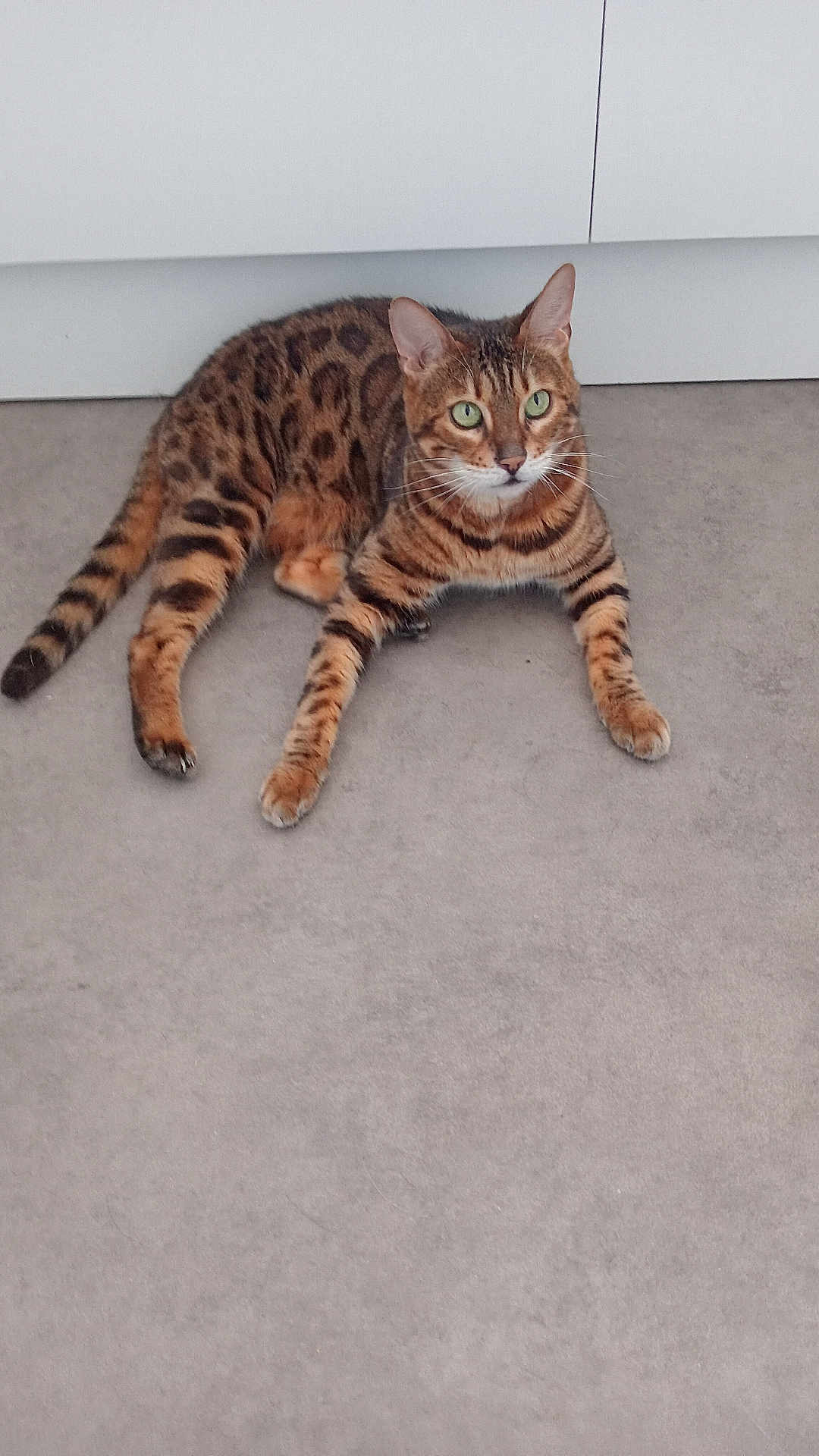 Freyja
