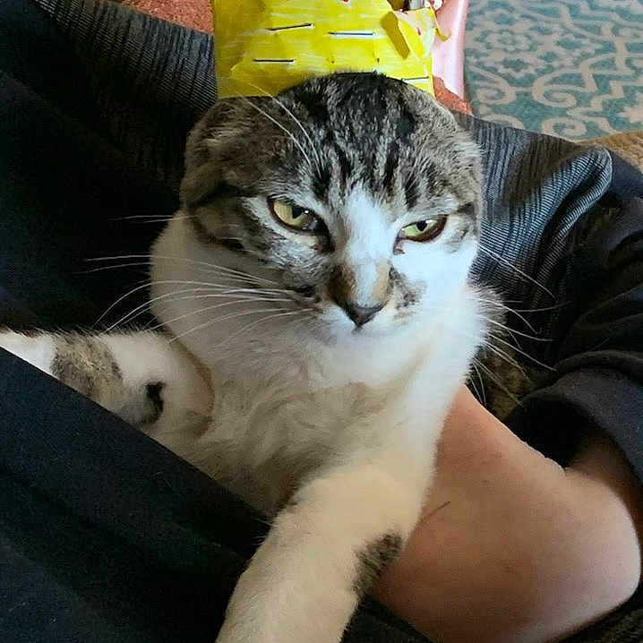 Zoe