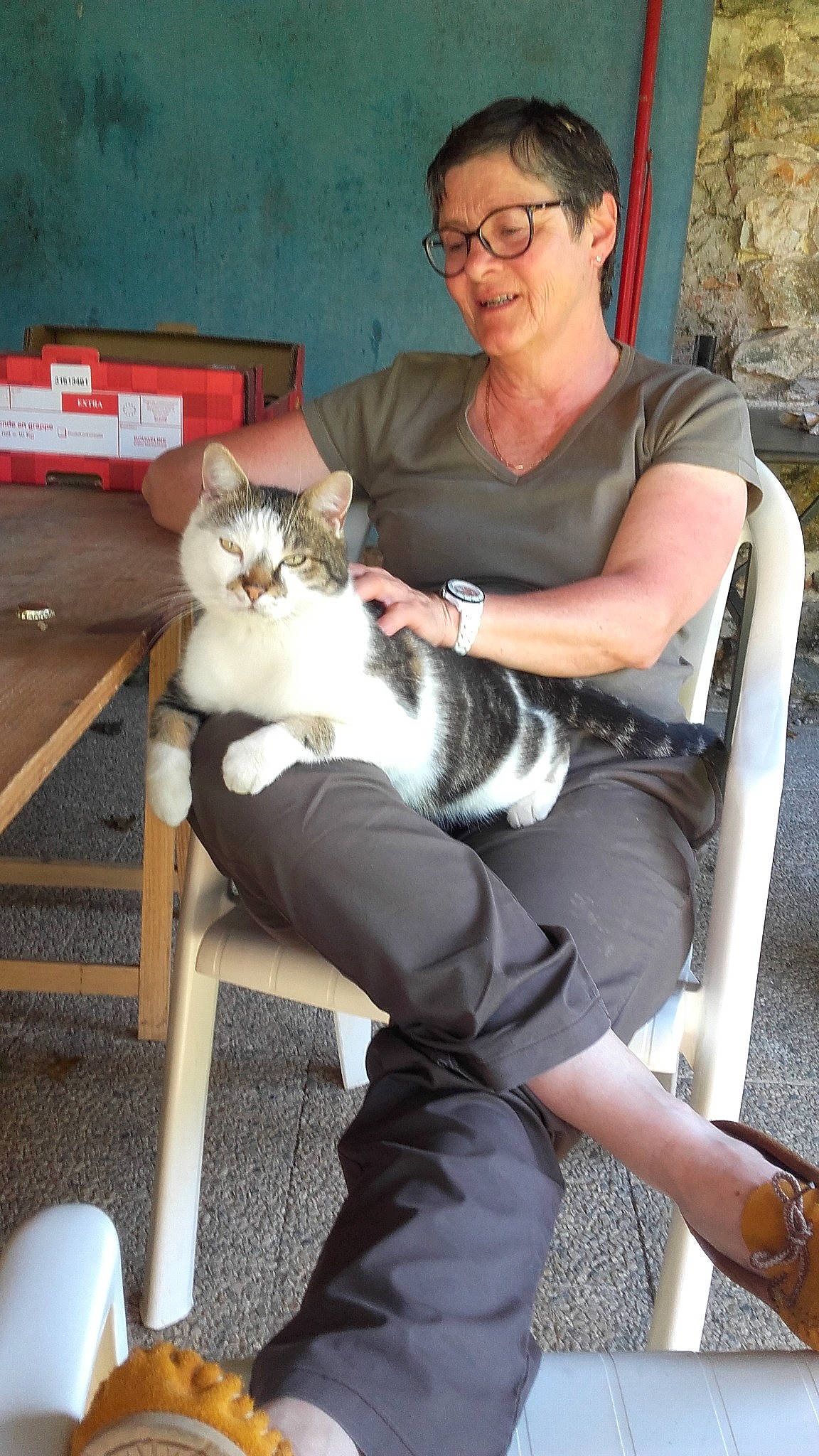 Scratch participe au concours pour gagner de l'argent avec cette photo : arm, carnivoran, cat, cat_like_mammal, fun, fur, furniture, girl, kitten, lap, leg, mammal, person, product, shoulder, sitting, small_to_medium_sized_cats, smile, vertebrate