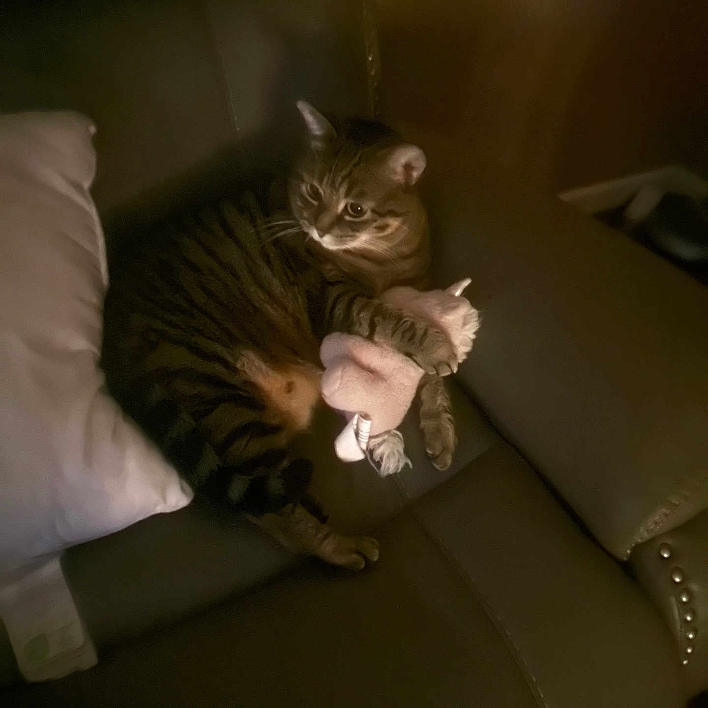 Precious