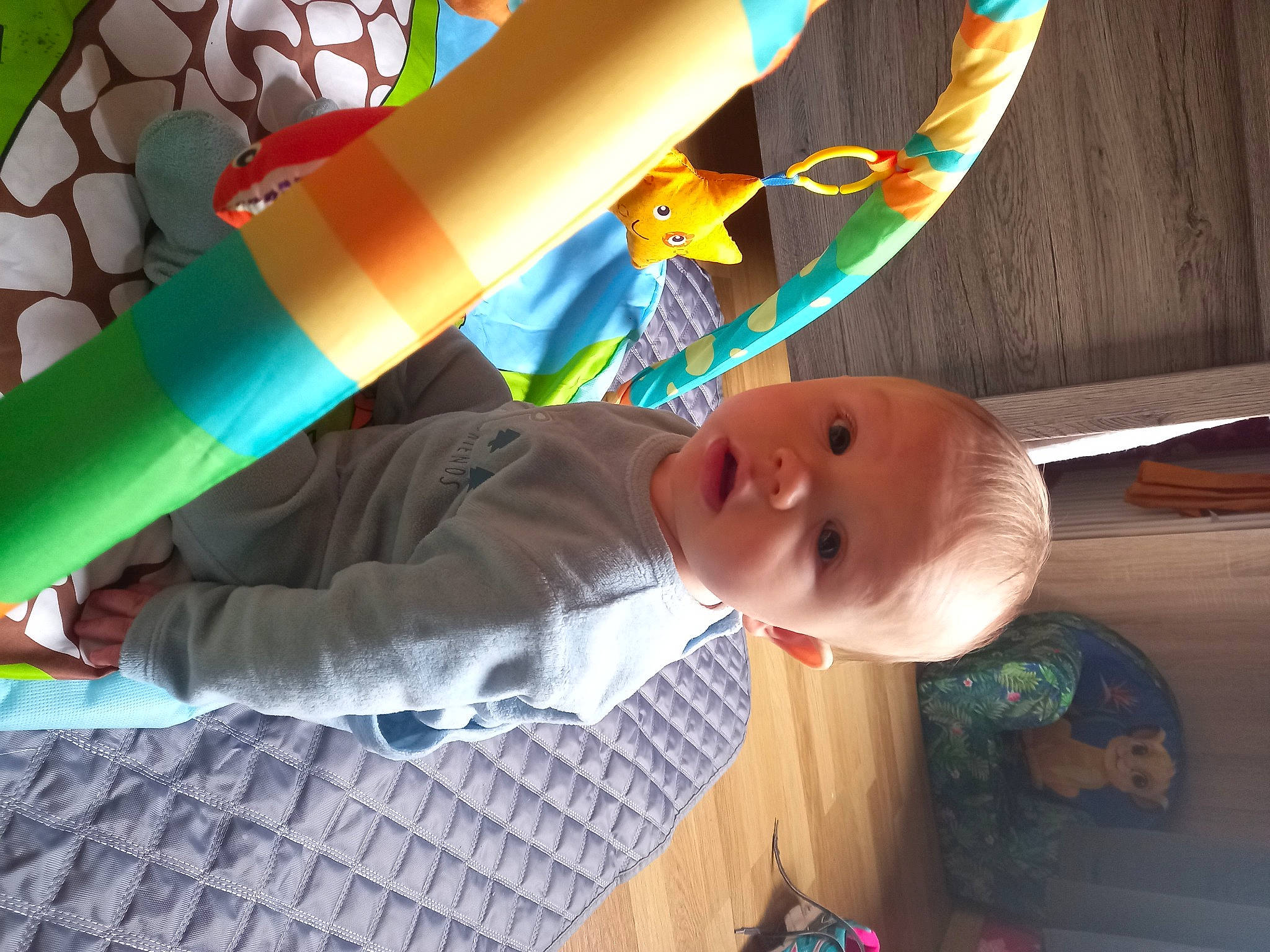 Gabriel participe au concours pour gagner de l'argent avec cette photo : arm, baby, child, elbow, fun, hand, happy, human_leg, leisure, pattern, people_in_nature, person, play, product, recreation, sitting, smile, toddler, tree, visual_arts