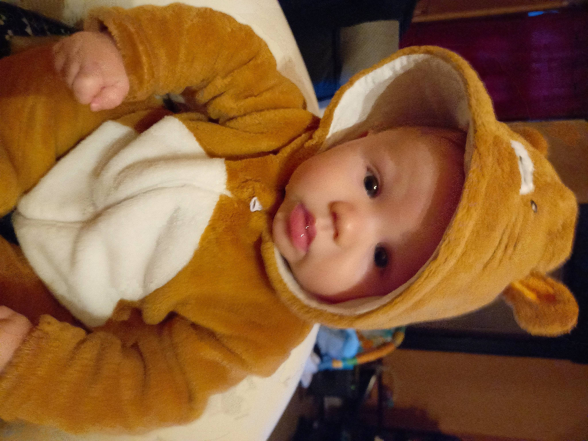 Gabriel a rejoint le concours — aidez-le/la à gagner de superbes lots ! baby, baby_products, baby_safety, baby_toddler_clothing, cheek, child, comfort, ear, eye, fun, fur, happy, hat, head, headwear, iris, nose, person, room, skin