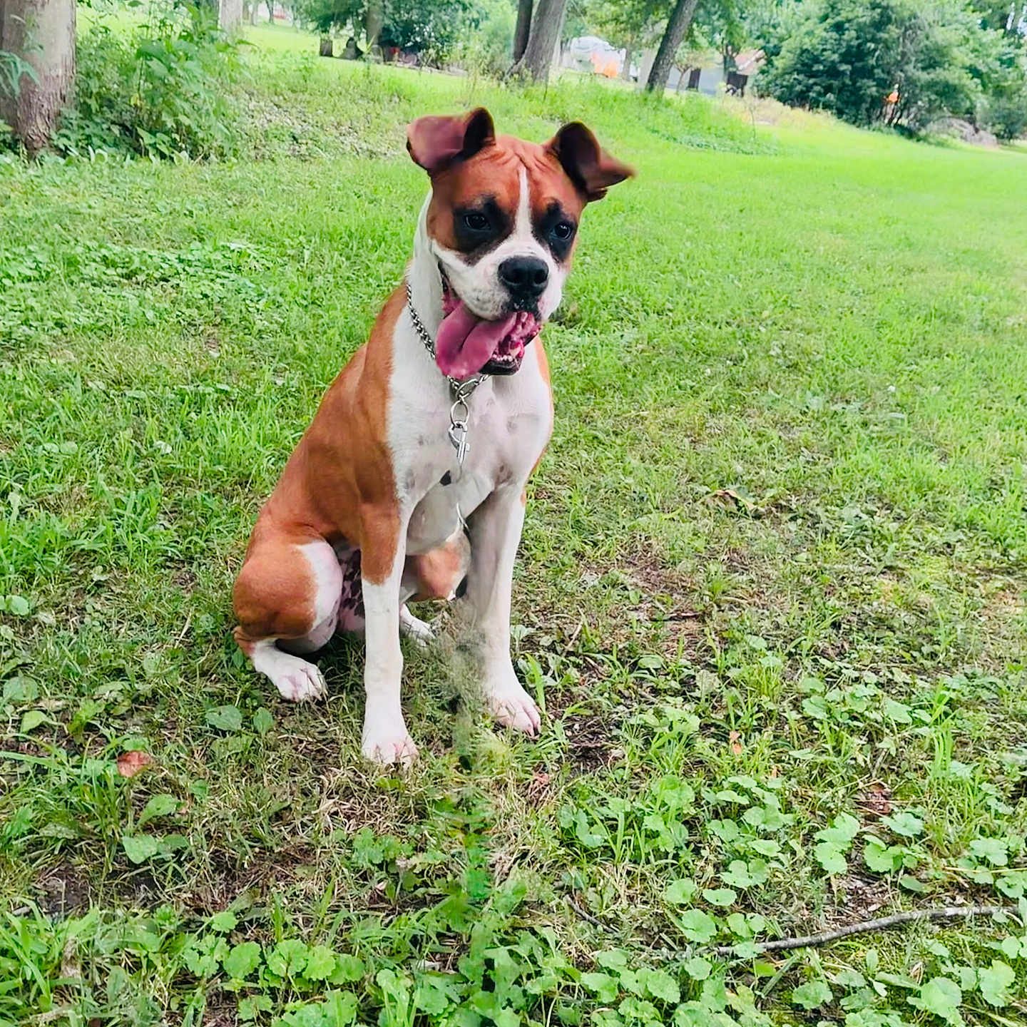 Emma