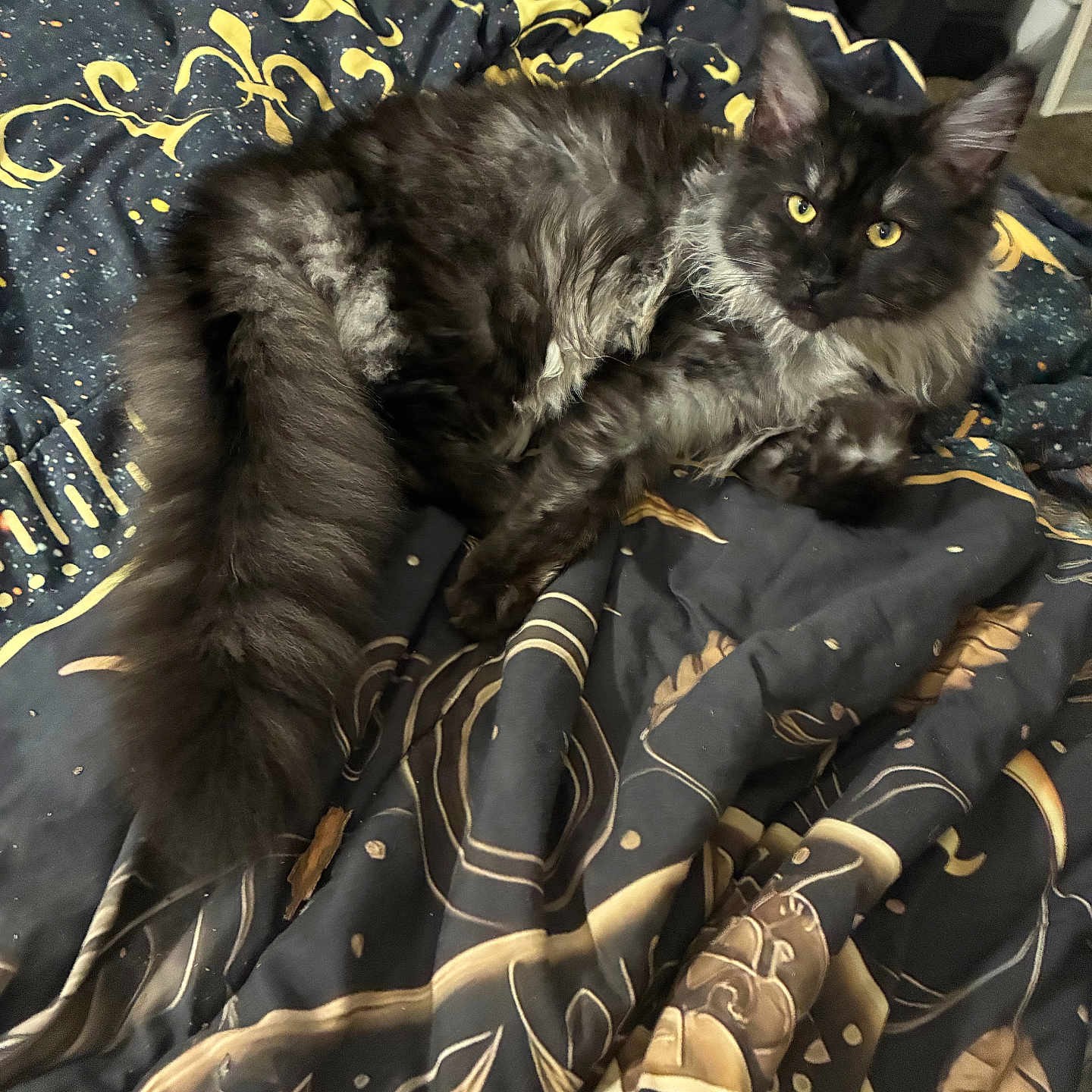 Zoriah