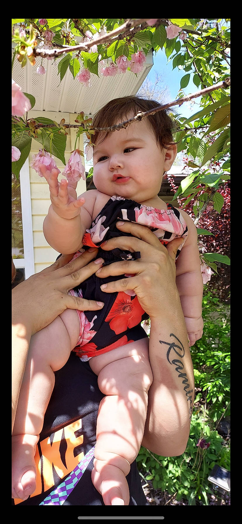 Amiyah joined the competition — help win amazing prizes! baby, baby_products, baby_toddler_clothing, chest, child, finger, gesture, grass, happy, human_leg, knee, leg, nail, people_in_nature, person, pink, plant, skin, thigh, thumb