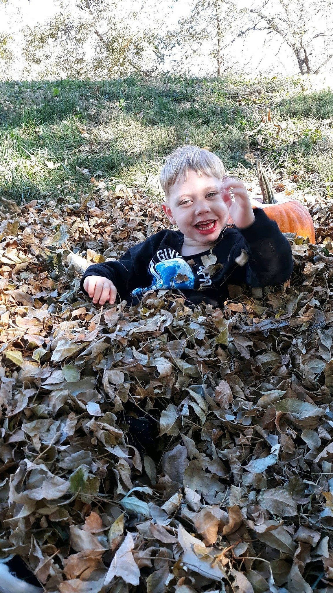 Moses joined the competition — help win amazing prizes! autumn, child, joy, leaf, person, play, soil
