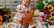 Scout is registered to the contest to win money with this photo: 3_months, baby, brick_wall, bunny, child, cute, decor, dress, flowers, greenery, indoor, infant, orange, pink, plush_toy, portrait, sitting, sunflowers, tablecloth, white_shoes