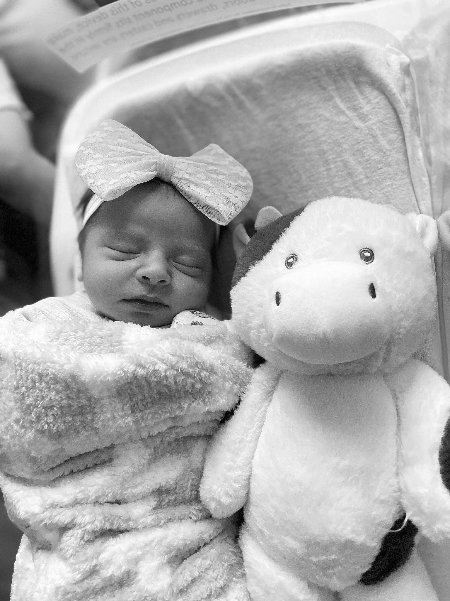 A'Mariana joined the competition — help win amazing prizes! baby, black_and_white, cheek, child, comfort, face, facial_expression, gesture, hand, happy, mammal, monochrome, monochrome_photography, nose, person, skin, stuffed_toy, style, textile, toddler
