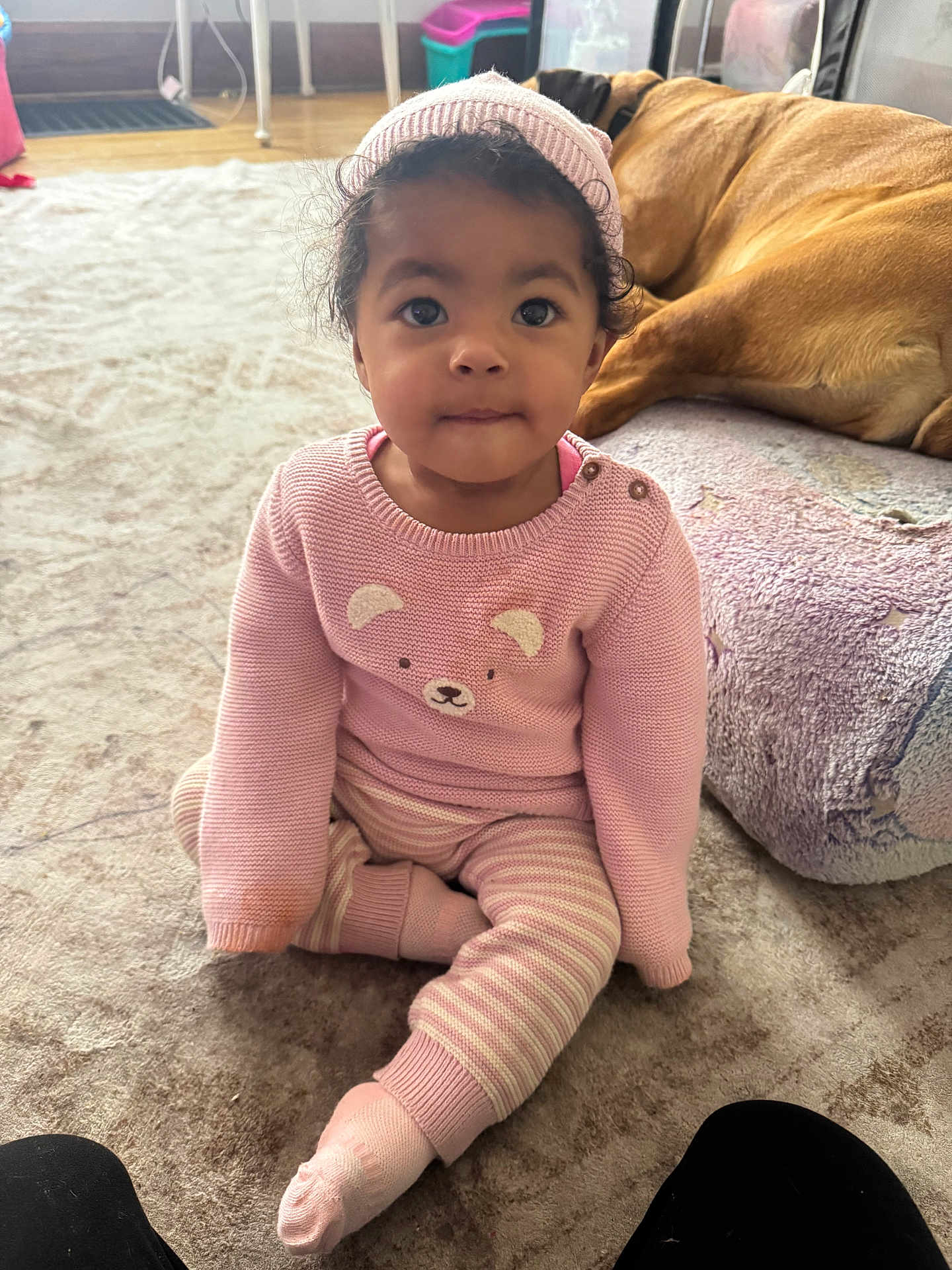 Cambrya joined the competition — help win amazing prizes! toddler, child, pink_sweater, striped_pants, socks, sitting, carpet, dog, sleeping_dog, indoor, home, curly_hair, hat, cute, cozy, floor, blanket, furniture, pet, portrait