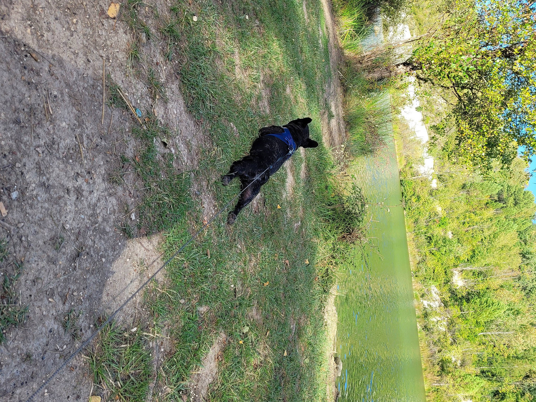 Bart participe au concours pour gagner de l'argent avec cette photo : adventure, beak, bedrock, biome, forest, grass, grass_family, landscape, natural_landscape, plant, recreation, shadow, shrub, slope, soil, tail, temperate_broadleaf_and_mixed_forest, tree, trunk, wildlife