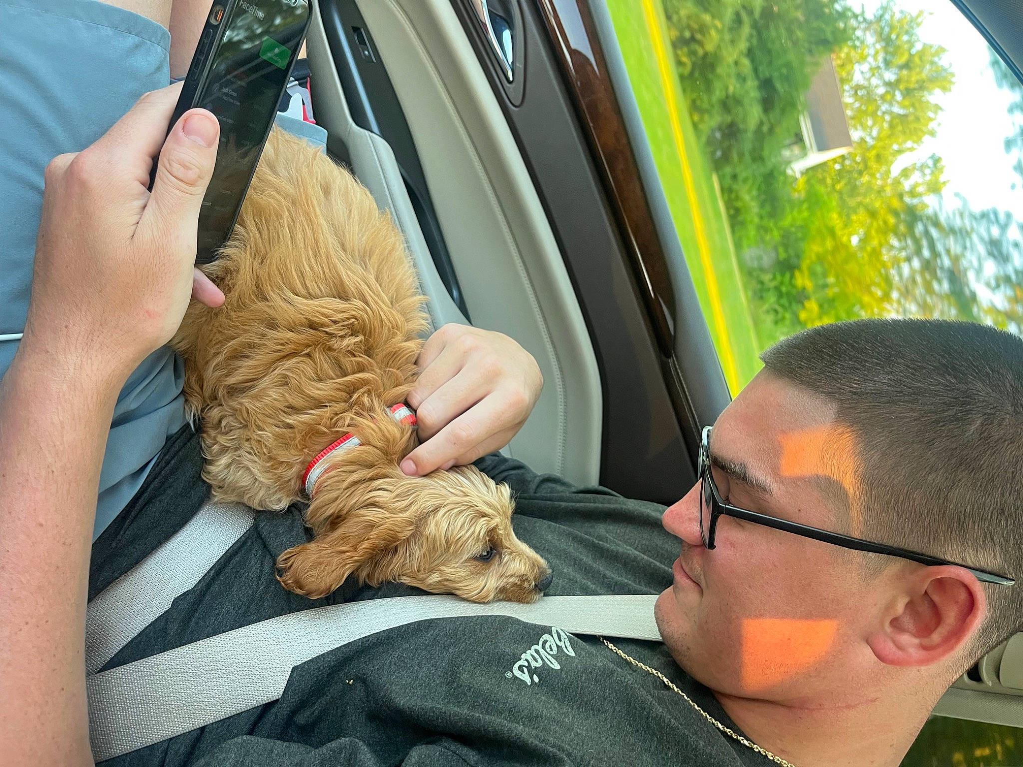 Jager joined the competition — help win amazing prizes! auto_part, automotive_exterior, automotive_mirror, car, car_seat, car_seat_cover, carnivore, comfort, companion_dog, family_car, hand, motor_vehicle, passenger, personal_luxury_car, seat_belt, steering_wheel, tree, vehicle, vehicle_door, windshield