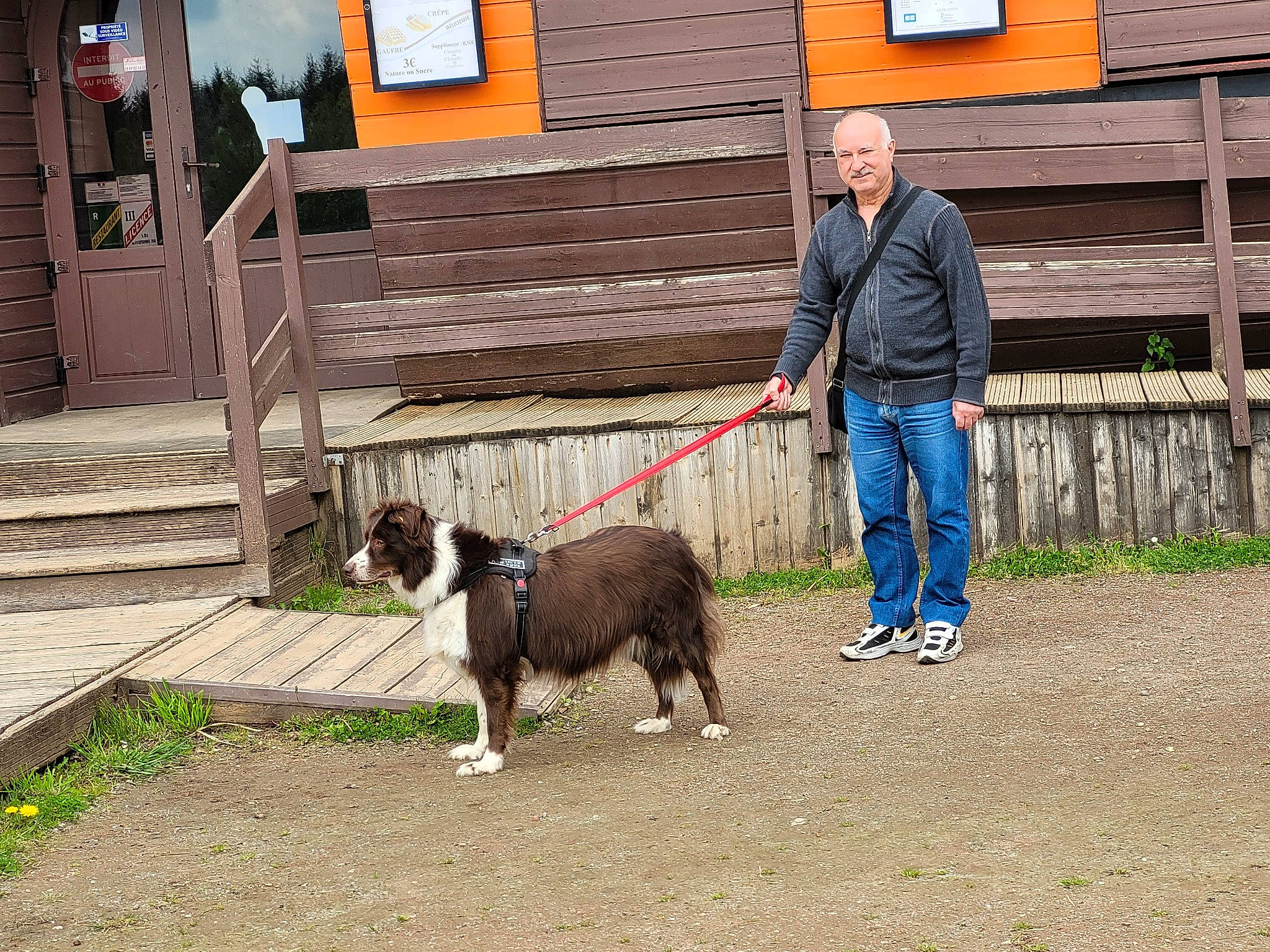Irich a rejoint le concours — aidez-le/la à gagner de superbes lots ! building, carnivore, collar, companion_dog, dog, dog_breed, door, fur, grass, house, leash, plant, siding, soil, sporting_group, tail, window, wood, working_animal, working_dog