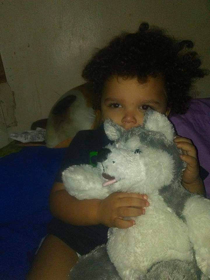 Timothy joined the competition — help win amazing prizes! abdomen, chest, child, comfort, companion_dog, doll, felidae, fur, hair, happy, lap, mammal, person, plush, room, small_to_medium_sized_cats, stuffed_toy, teddy_bear, toy, trunk