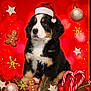accessories, animal, canine, christmas, christmasdecorations, christmastree, cookie, dog, envelope, festival, food, gingerbread, greetingcard, hound, husky, mail, pet, puppy, saintbernard, sweets