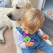 Simba a rejoint le concours — aidez-le/la à gagner de superbes lots ! baby, dog, golden_retriever, child, teething_toy, indoor, floor, tile, pet, companion, cute, blond_hair, blue_clothing, relaxed, friendship, young_child, animal, domestic, cute_moment, home