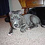 Rocco is registered to the contest to win money with this photo: