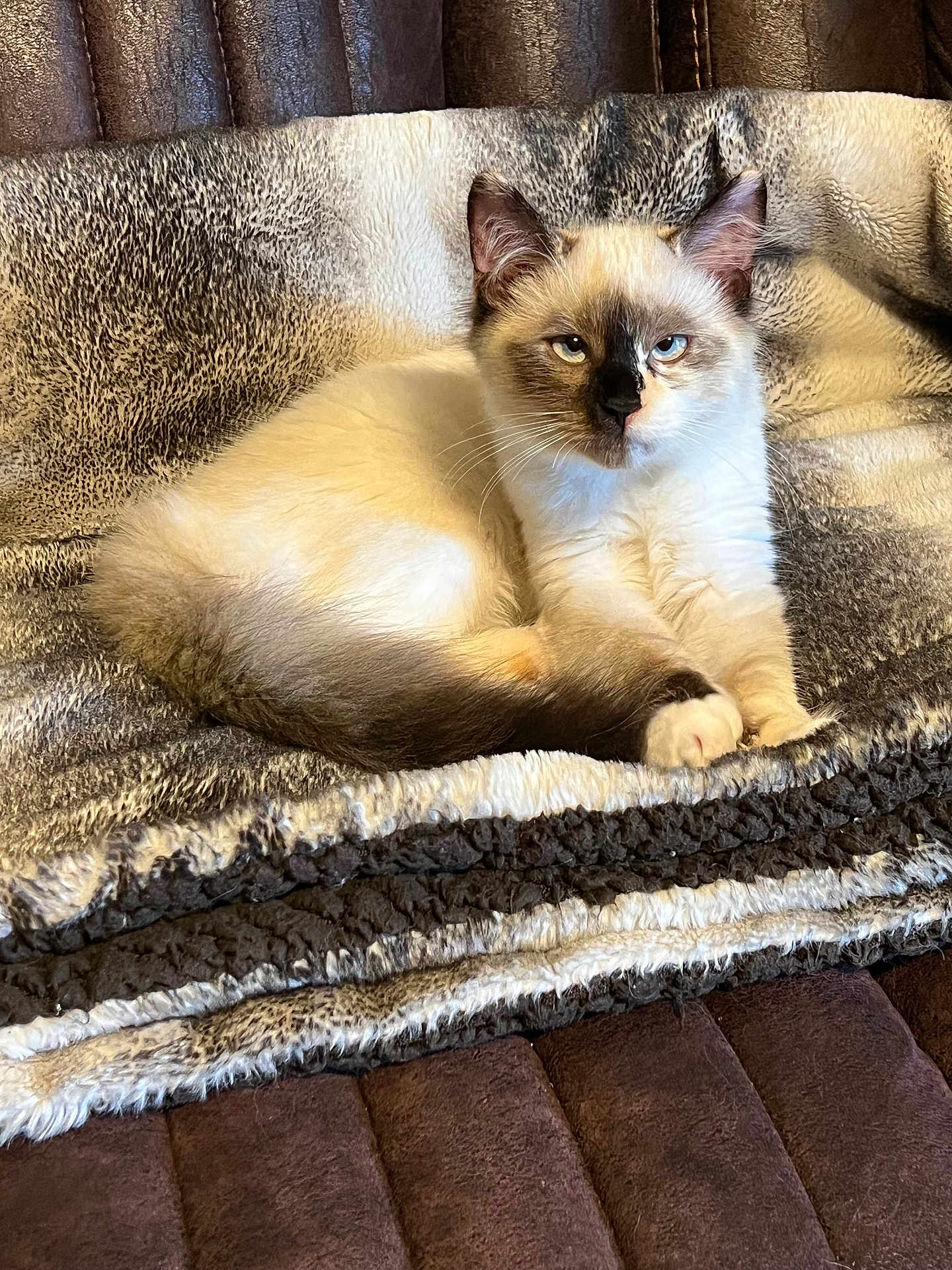 Dakota