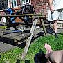 Sutty is registered to the contest to win money with this photo: dog, picnic_table, grass, person, legs, barefoot, drink, glass, backyard, sunlight, brick_wall, trash_bins, wooden_bench, outdoor, relaxing, shadow, casual, summer, footwear, anklet