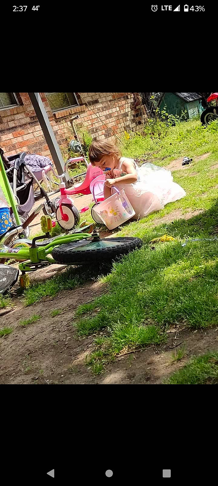 Lilah is registered to the contest to win money with this photo: automotive_wheel_system, baby, child, garden, grass, happy, landscape, lawn, leisure, motor_vehicle, people_in_nature, person, plant, recreation, sidewalk, sitting, soil, tire, toddler, tree