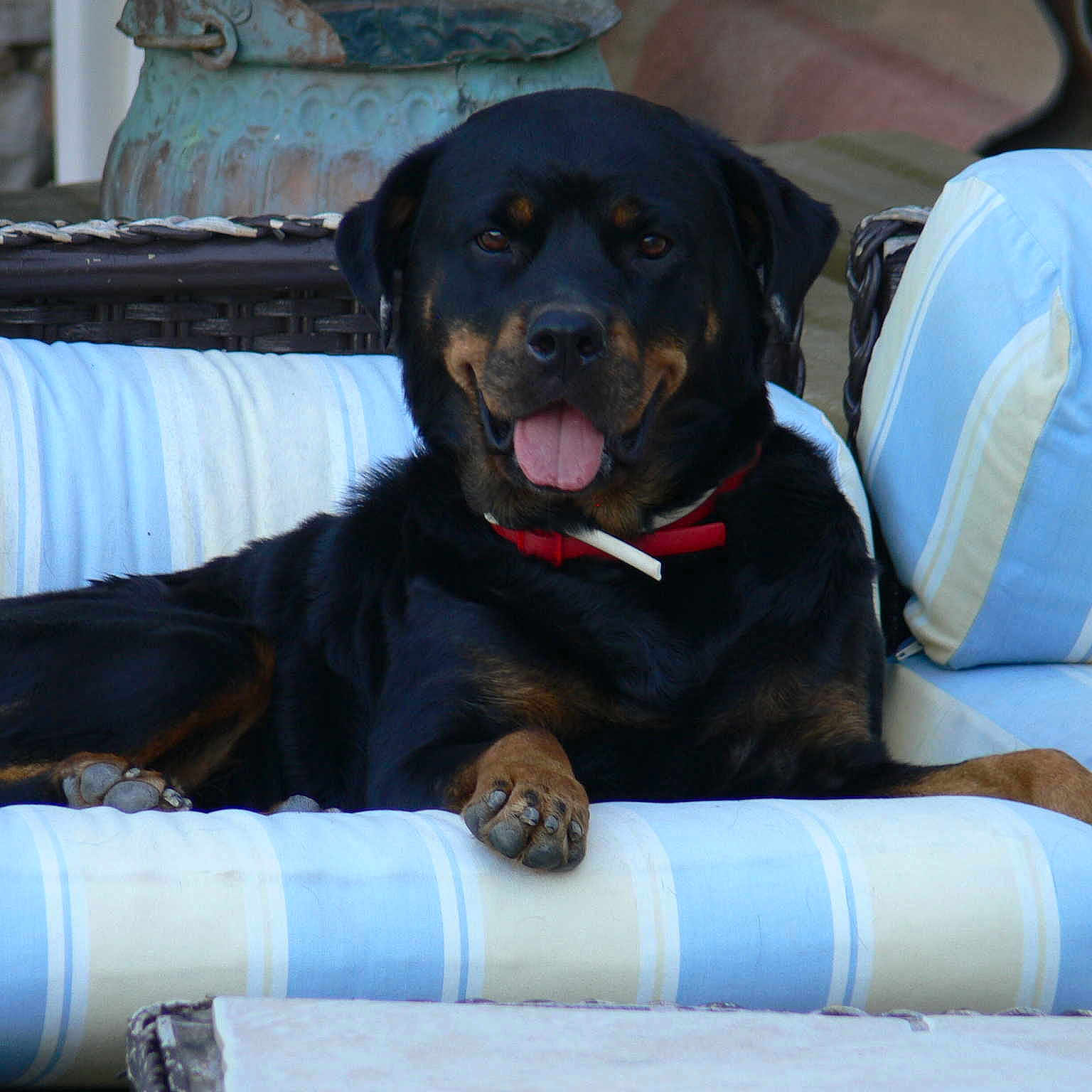 Louna
