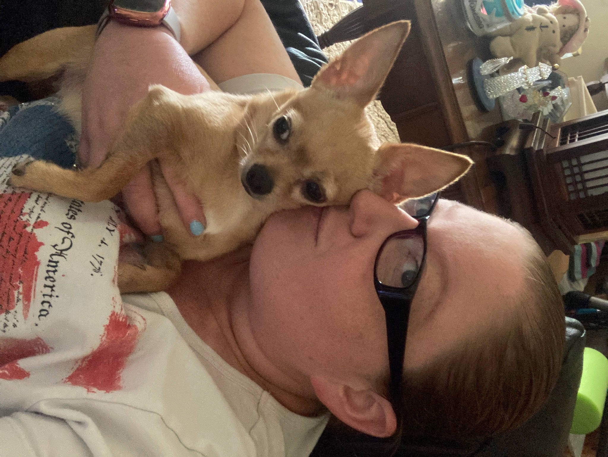 Sunny joined the competition — help win amazing prizes! canidae, carnivore, companion_dog, dog, dog_breed, ear, eye, fawn, felidae, foot, fun, fur, gesture, head, jaw, mouth, nose, snout, sporting_group, whiskers