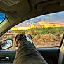 dog, car, window, side_mirror, reflection, sunset, desert, bushes, sky, clouds, animal, pet, outdoor, nature, travel, vehicle, landscape, brown, grey, happy