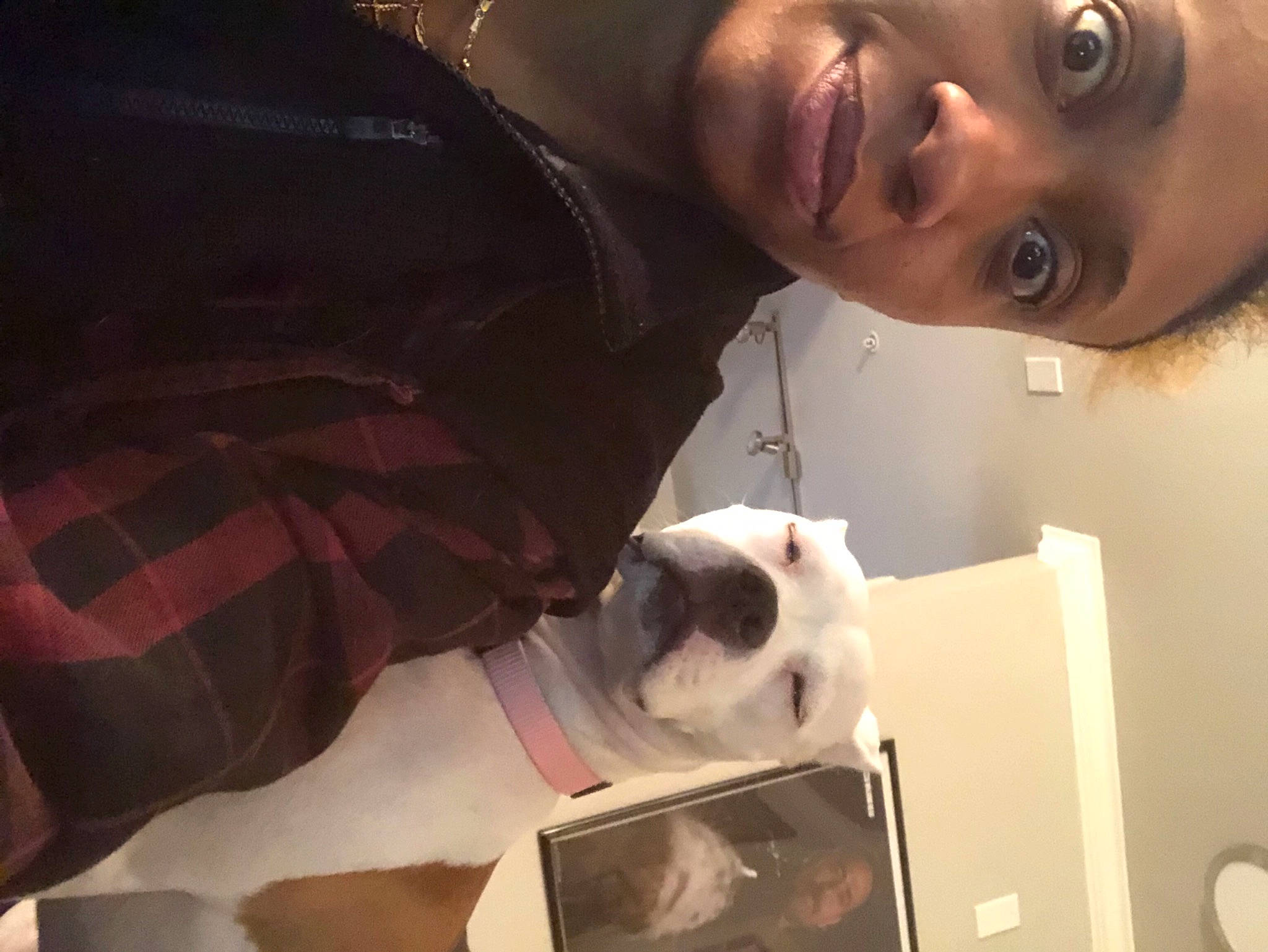 Pi is registered to the contest to win money with this photo: audio_equipment, beard, beauty, carnivore, companion_dog, ear, eyelash, eyewear, fashion, felidae, flash_photography, fur, gadget, happy, jewellery, necklace, room, small_to_medium_sized_cats, stuffed_toy, whiskers