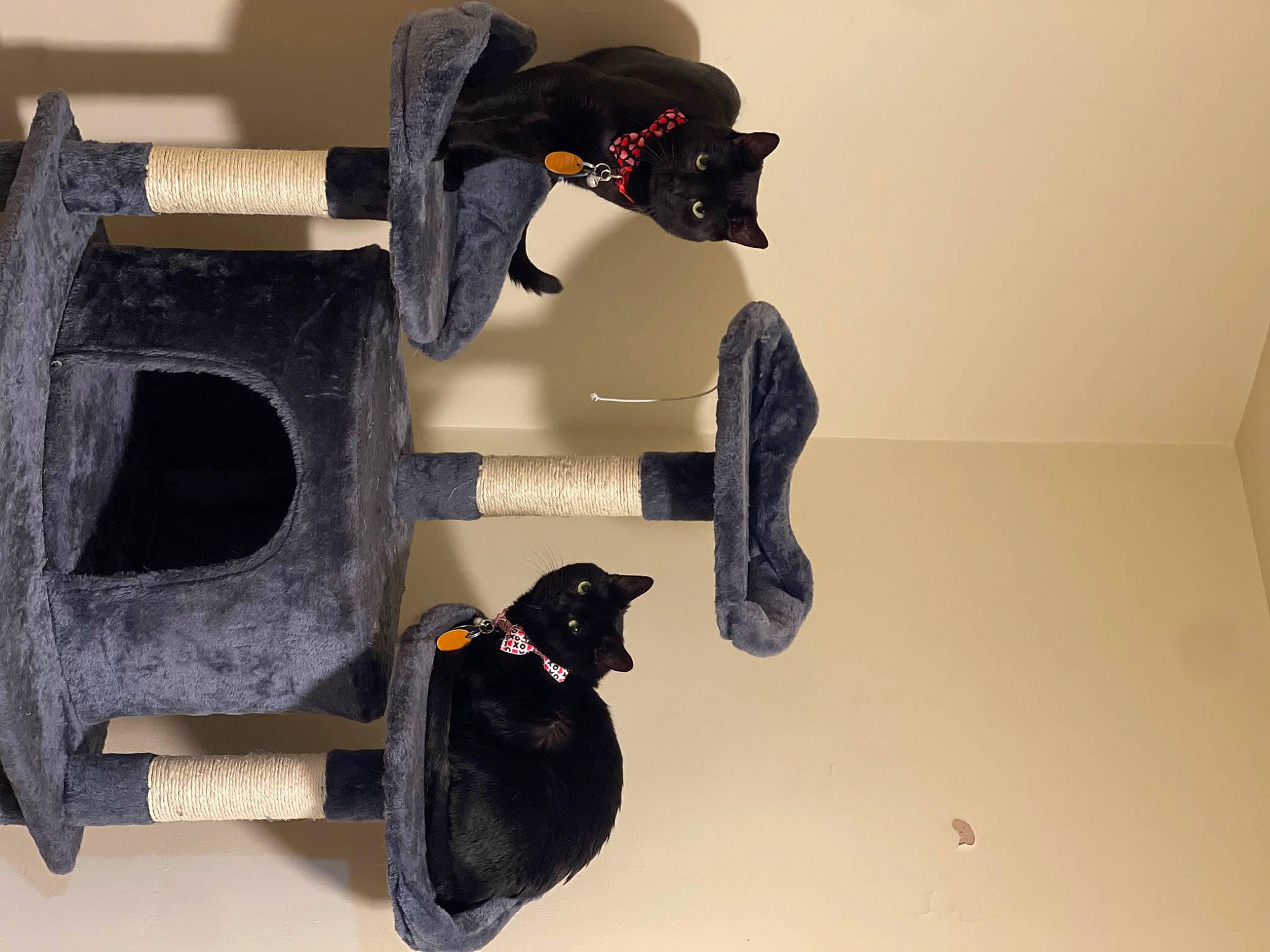 Voyd joined the competition — help win amazing prizes! art, birdhouse, carmine, composite_material, font, pet_supply, plywood, sculpture, shelf, visual_arts, wood