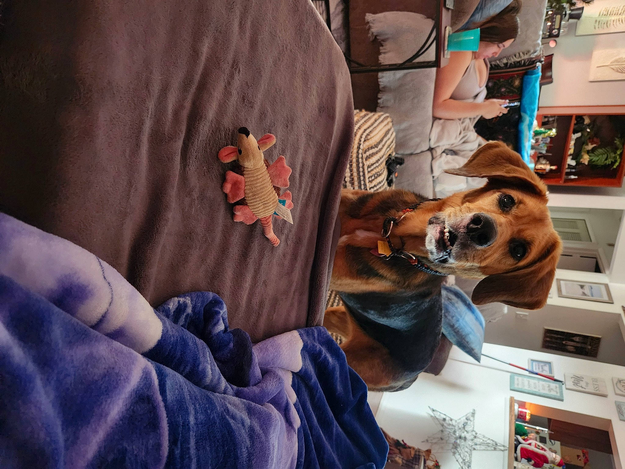 Ava joined the competition — help win amazing prizes! bag, carnivore, comfort, companion_dog, denim, dog, dog_breed, eyewear, fashion_accessory, fawn, fur, hat, headgear, mammal, selfie, sleeve, snout, stuffed_toy, sunglasses, wrist