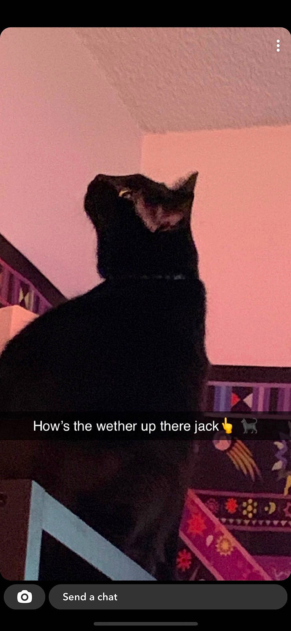 Jack is registered to the contest to win money with this photo: art, black_cat, carnivore, cat, domestic_short_haired_cat, felidae, font, fur, illustration, magenta, pattern, room, sleeve, small_to_medium_sized_cats, snout, t_shirt, tail, tints_and_shades, visual_arts, whiskers