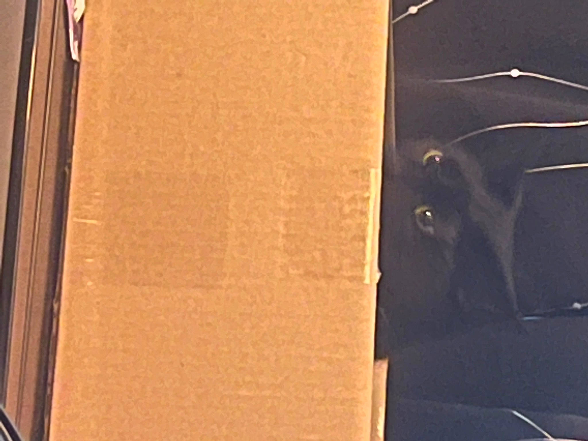 Jack is registered to the contest to win money with this photo: audio_equipment, automotive_design, automotive_exterior, brown, cardboard, flooring, font, hardwood, hood, leather, metal, paper, paper_product, pattern, plywood, rectangle, tints_and_shades, vehicle_door, wood, wood_stain