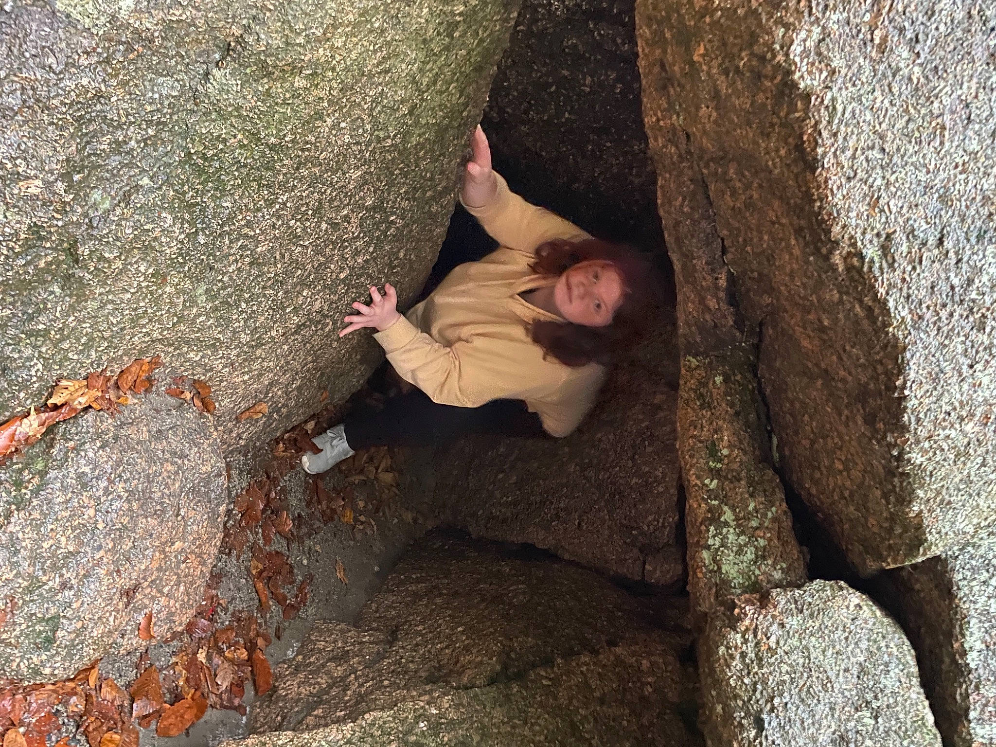 Sarah joined the competition — help win amazing prizes! adventure, bedrock, bouldering, climbing, concrete, formation, fun, geological_phenomenon, geology, grass, landscape, leisure, outcrop, people_in_nature, person, recreation, rock, soil, tree, trunk