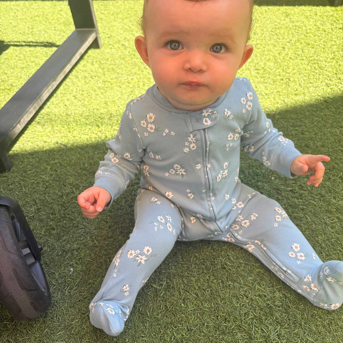 Sofia joined the competition — help win amazing prizes! baby, child, infant, onesie, blue_clothing, floral_pattern, grass, artificial_grass, outdoor, sitting, curious, wide_eyes, stroller_wheel, sunlight, shadow, cute, face, head, person, young_child