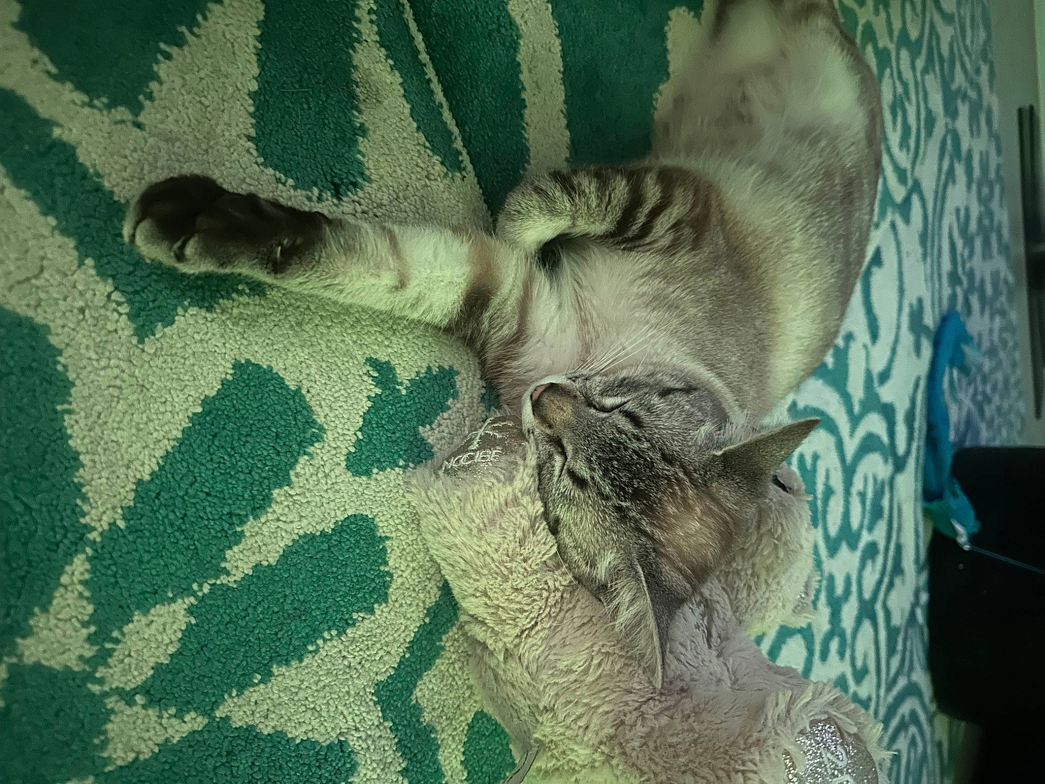 Bêtise a rejoint le concours — aidez-le/la à gagner de superbes lots ! carnivore, cat, comfort, domestic_short_haired_cat, fawn, felidae, fur, grey, linens, pattern, paw, small_to_medium_sized_cats, snout, tail, textile, trunk, visual_arts, whiskers, wildlife, wood