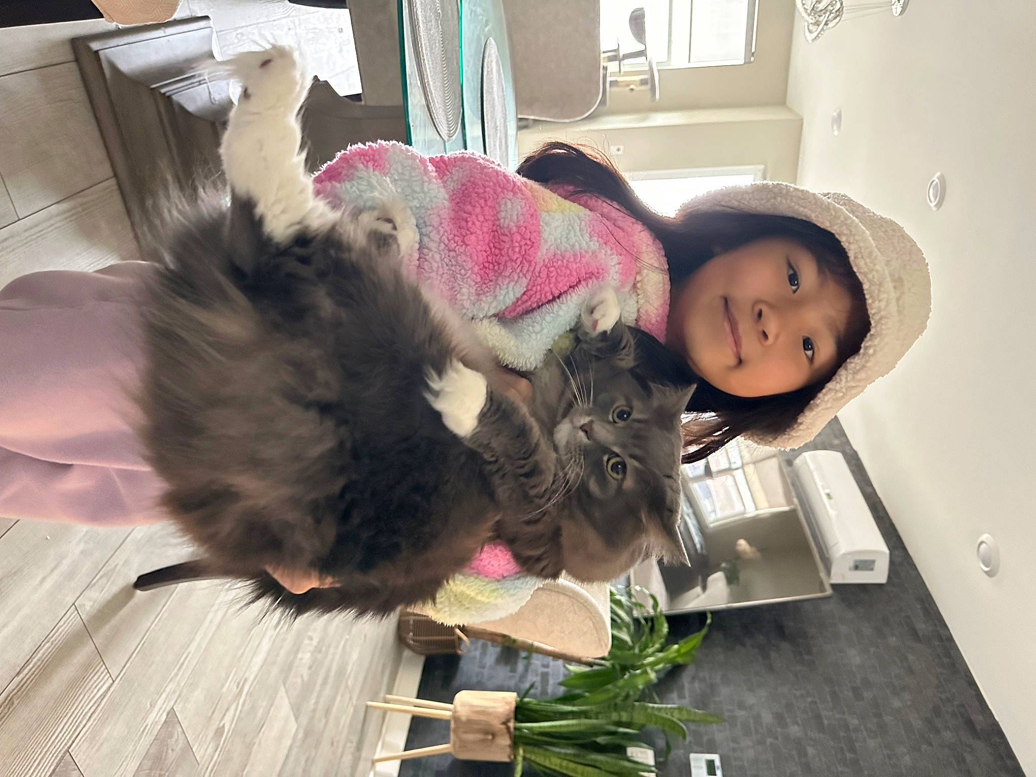 Valerie is registered to the contest to win money with this photo: child, comfort, companion_dog, dog_breed, felidae, flooring, fun, fur, hardwood, hat, headwear, joy, person, plant, room, small_to_medium_sized_cats, smile, sporting_group, sun_hat, table