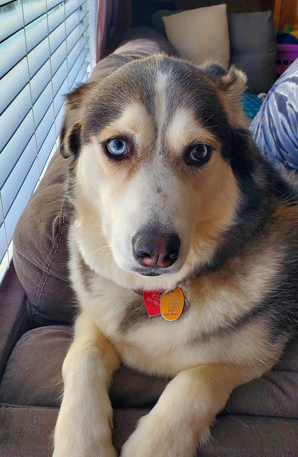 Abby